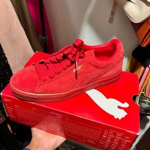 Red puma: fair